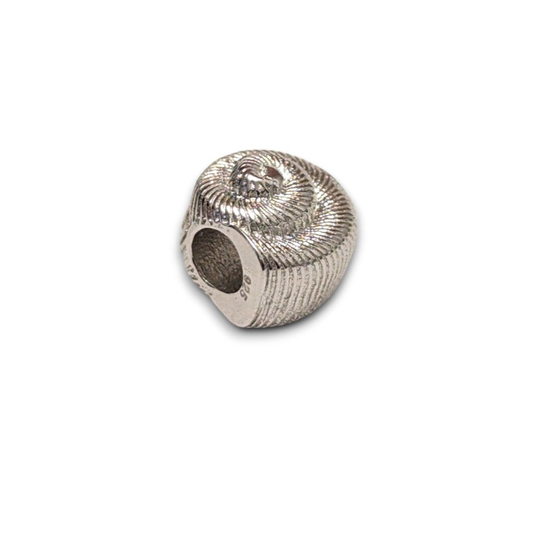 Nautilus Sea Shell Bead Charm