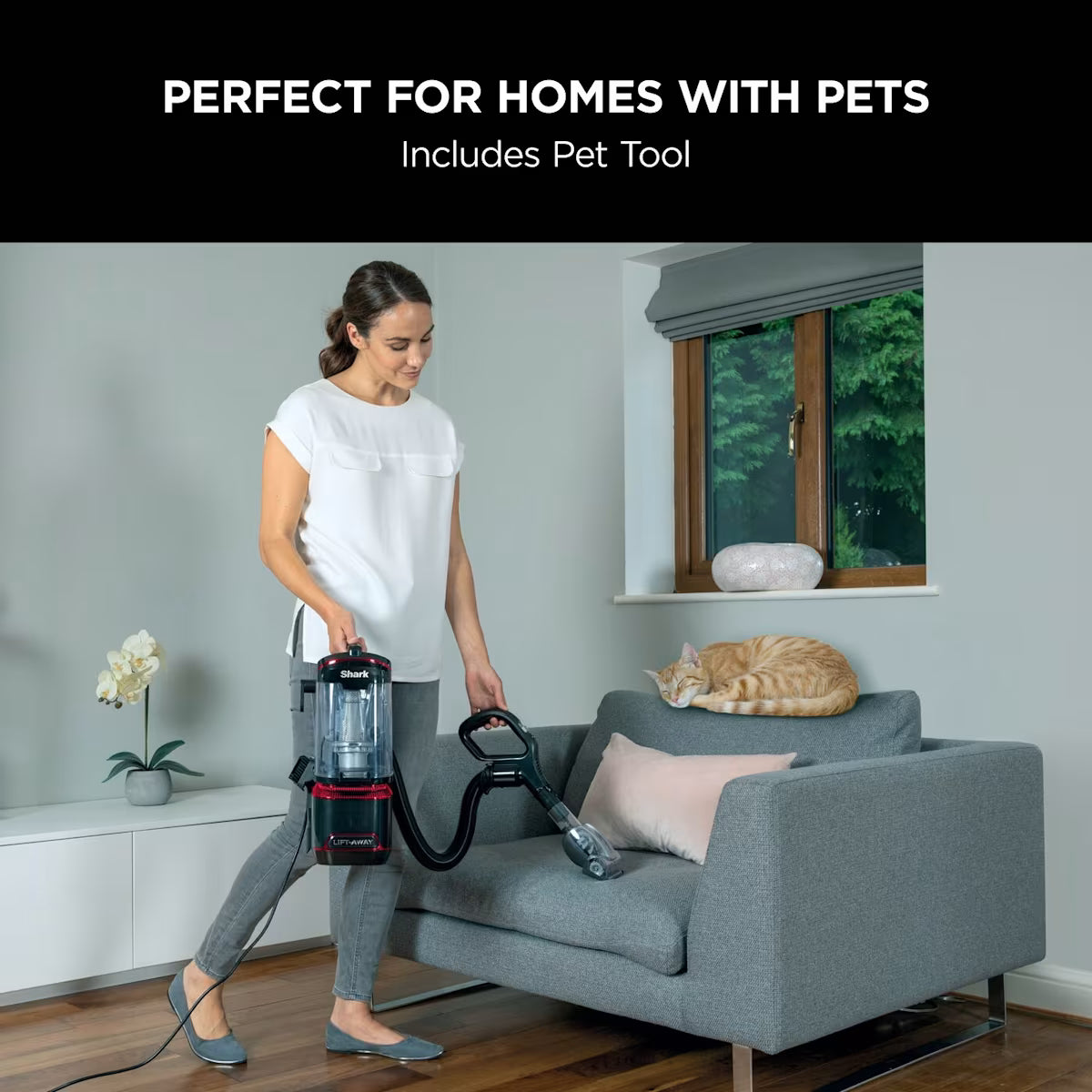 SharkNinja Classic Upright Pet NV602UKT Black